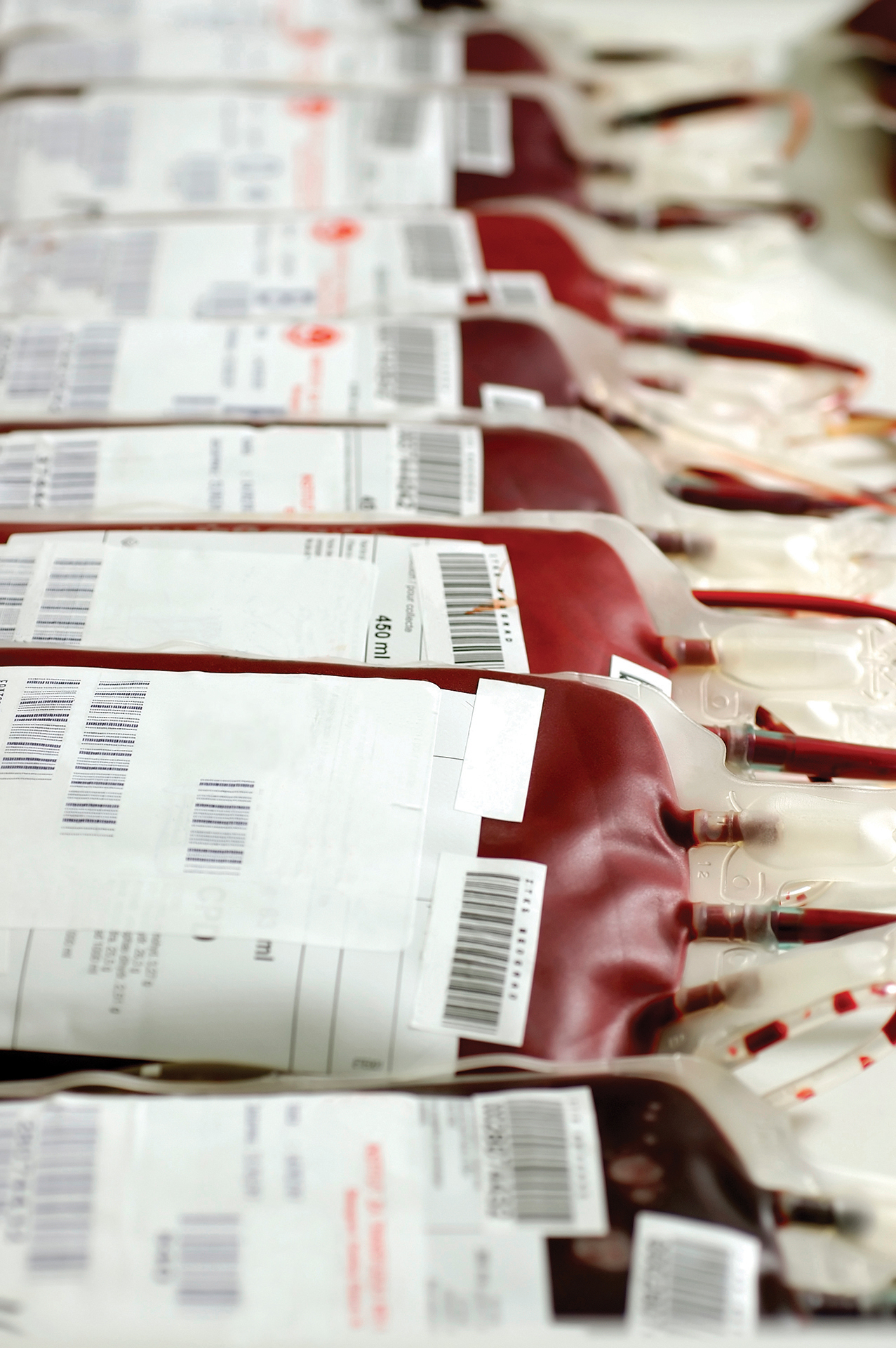 Donation blood bags