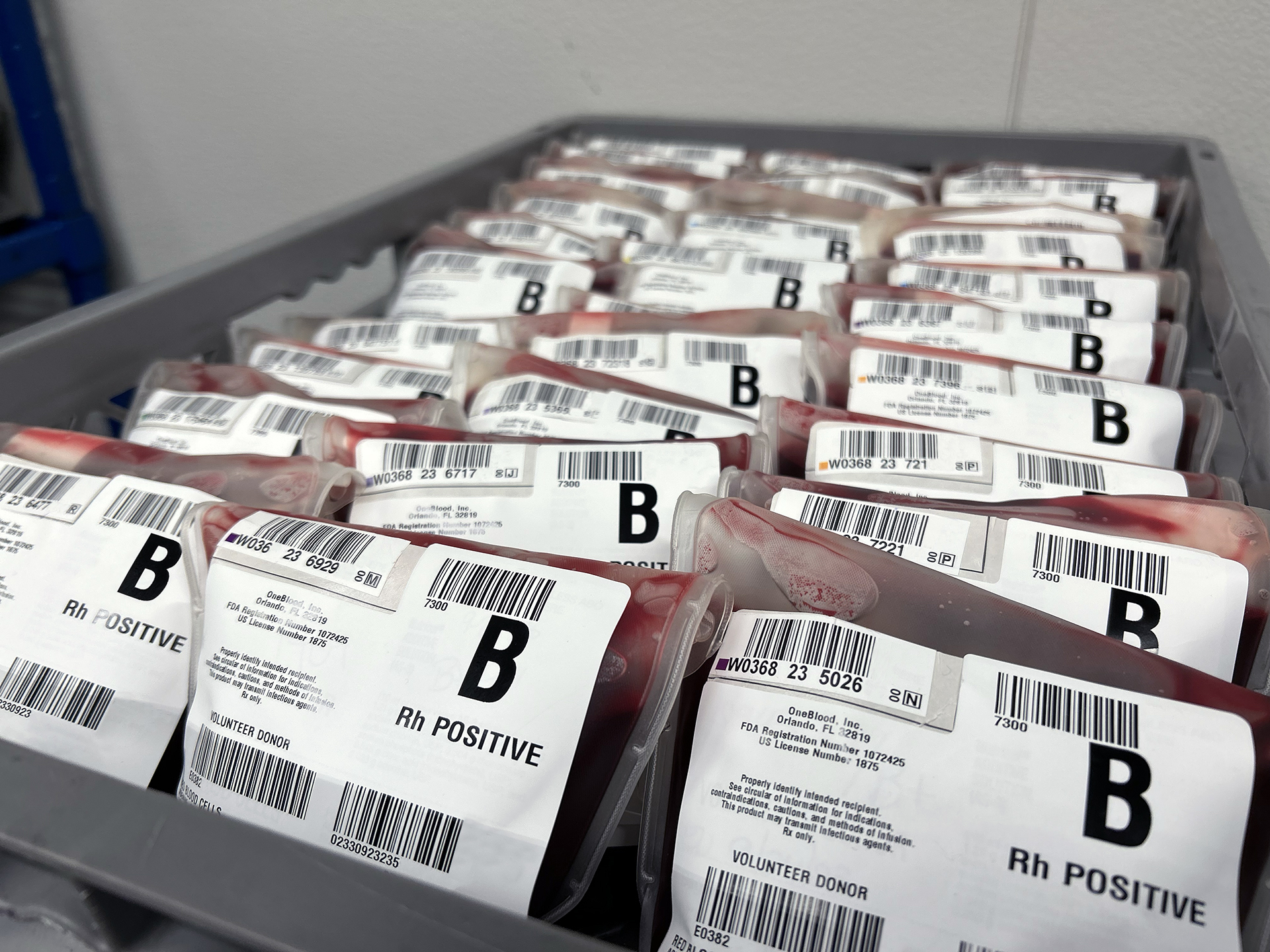 Blood Type B-Positive